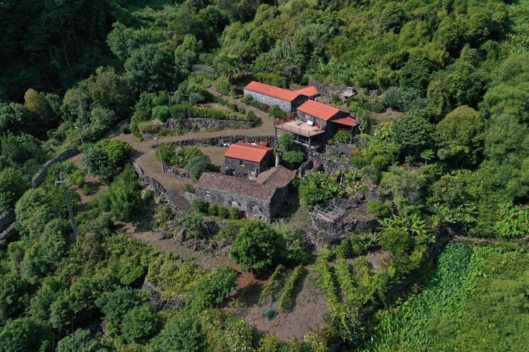 Vistalinda Farmhouse Faja dos Vimes Extérieur photo